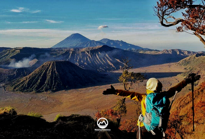 39. bromo